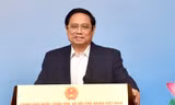 Thủ tướng Phạm Minh Chính (Ảnh: Nhật Minh)