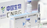 Chính phủ phê duyệt mua 20 triệu liều vắc xin Vero Cell của Sinopharm Trung Quốc