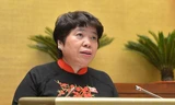 Chủ nhiệm Uỷ ban Xã hội Nguyễn Thúy Anh (ảnh Nhật Minh)