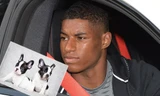 M.U thuê người huấn luyện... chó cho sao trẻ Rashford