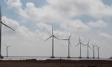 Các trụ tua bin điện gió ven biển Bạc Liêu.