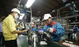 Công nhân Sunhouse sản xuất ấm đun nước siêu tốc tại nhà máy ở Hòa Lạc (Hà Nội) ẢNH: Như Ý 