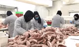 Dự kiến vào đầu quý IV/2020, nguồn cung thịt lợn mới đáp ứng được nhu cầu tiêu dùng trong. Ảnh: Bình Phương