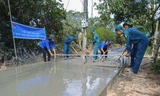  Các bạn trẻ Phù Mỹ (Bình Định) làm đường bê tông nông thôn tại thị trấn Phù Mỹ. Ảnh: Trương Định 