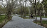 Người đàn ông ngồi một mình trong công viên ở Tehran, Iran, ngày 18/3. Ảnh: AP 