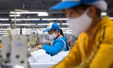 Năm 2019, khu vực kinh tế tư nhân đã tạo ra 85% việc làm cho nền kinh tế. Ảnh: Hồng Vĩnh