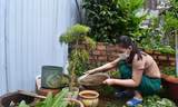 Đắk Lắk ghi nhận ca tử vong thứ 2 vì sốt xuất huyết