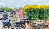 Kiếm tiền triệu nhờ nghề vận chuyển hoa, cây cảnh ngày 30 Tết