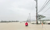 Mưa lớn kéo dài, nhiều nơi ở Bình Định ngập trong biển nước.