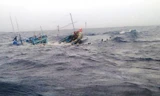 Tàu cá Bình Định chìm trên biển cùng thi thể 1 ngư dân