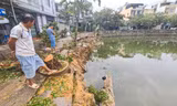 Quy Nhơn chi hơn 3 tỷ đồng chống sạt lở kè Bàu Sen