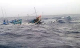 Bị chìm tàu, 14 ngư dân Bình Định được tàu hàng nước ngoài cứu vớt