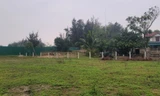 Sau 5 năm, dự án khách sạn, biệt thự hơn 240 tỷ đồng ở Hà Tĩnh vẫn là bãi đất trống