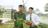 Xanh mướt vườn rau thanh niên công an xã