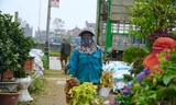 Những người phụ nữ chở cây cảnh thuê gồng mình mưu sinh ngày Tết