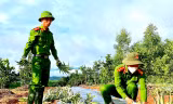 Sắc xanh tình nguyện đội nắng giúp người dân trồng dứa