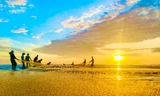 Đẹp hút hồn cảnh kéo lưới lúc bình minh trên biển