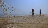 Đã mắt xem ngư dân Hà Tĩnh gỡ hàng tấn cá trích mắc lưới, trúng đậm tiền triệu