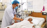 Thông tin đáng ngại từ CDC TPHCM về dịch sốt xuất huyết