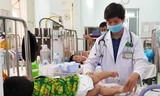 Sốt xuất huyết tăng nhanh, TPHCM cảnh báo nguy cơ bùng phát dịch
