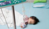 Bé trai sốc phản vệ nguy kịch vì vết đốt của ong ruồi