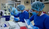 TPHCM rà soát toàn diện việc mua sinh phẩm xét nghiệm SARS-CoV-2 của công ty Việt Á