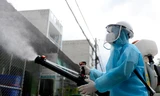 Gần 40.000 ca nhập viện và 36 người tử vong vì sốt xuất huyết
