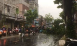 Cây đổ, đường phố Sài Gòn mênh mông nước sau trận mưa cực lớn