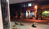 6 chú chó trung thành chạy theo chủ tới bệnh viện và nằm dài chờ đợi bên ngoài.