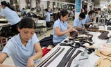 Xuất khẩu dệt may 2013 có thể cán đích 19 tỷ USD
