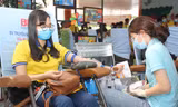 Ra quân Xuân tình nguyện, bạn trẻ TPHCM hiến máu, chỉnh trang viện dưỡng lão
