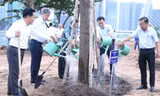 Ven bờ sông Sài Gòn được phủ 'cánh đồng hoa hướng dương'