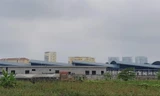 Diện tích đất của người dân bị thu hồi đang thực hiện Dự án thành phần Hạ tầng kỹ thuật khu Đề pô (Bắc Từ Liêm, Hà Nội)