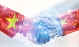 Quan hệ Việt Nam - Trung Quốc phát triển ngày càng thực chất, vững chắc