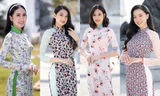 4 nữ sinh Đại học Ngoại thương tại Miss World Vietnam: Chiều cao 'khủng', nói tiếng Anh 'như gió'