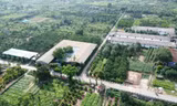 Hà Nội: Quận Hà Đông 'tổng rà soát' vi phạm trên đất nông nghiệp, đất công ích