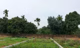 Một khu đất đấu giá ở Ba Vì