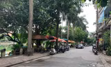 Hà Nội: Chuyển chủ đầu tư để đẩy nhanh tiến độ dự án cải tạo hồ Kim Liên 