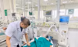 Người đàn ông 35 tuổi hôn mê, mắc thể dại hung dữ sau khi bị mèo cắn