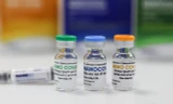 Cuối năm, ít nhất 1 loại vắc xin phòng COVID-19 'made in Vietnam' được cấp phép lưu hành