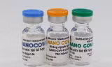 Thẩm định hồ sơ đăng kí lưu hành vắc xin Nanocovax