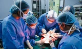 Từ mất mát đến hồi sinh: Hành trình 50 giờ kì diệu của những thầy thuốc quân y