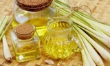 Bộ Y tế: Không được xông trực tiếp tinh dầu sả, chanh vào người để phòng, chống COVID-19