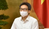 Phó Thủ tướng: 19 tỉnh, thành triển khai '2 mũi giáp công' linh hoạt chống dịch COVID-19
