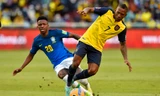Ecuador vs Brazil.