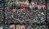 Nhiều người Hong Kong mang theo ô khi biểu tình để vừa che nắng vừa chống bị cảnh sát xịt hơi cay. Ảnh: Philippe Lopez