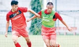 Tuyển Việt Nam chạy nước rút cho AFF Cup 2014