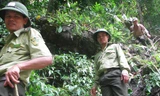 Cán bộ Hạt kiểm lâm Quan Sơn (Thanh Hóa) kiểm tra rừng. Ảnh: Hoàng Lam