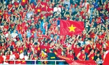 AFF Cup 2014: VFF mừng vì khán giả đông