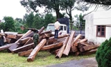 Số gỗ lậu bị thu giữ.